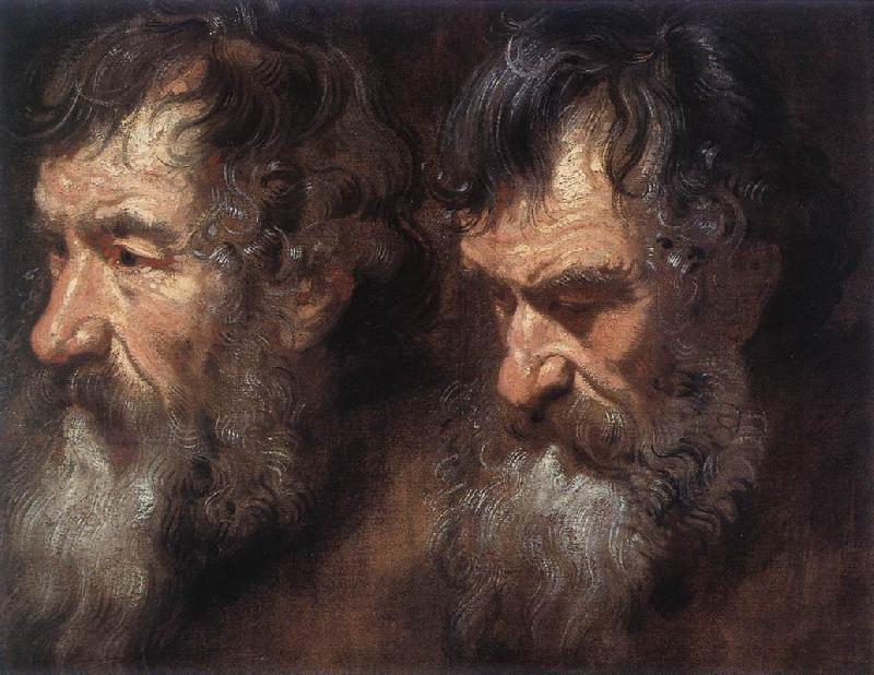 DYCK, Sir Anthony Van Studies of a Man s Head oil painting image